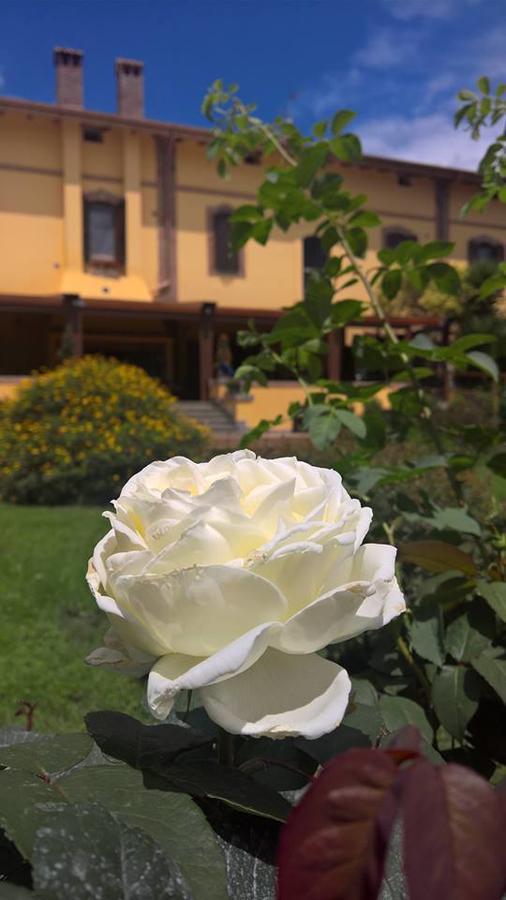 Boma Countryhouse Casale Bufalotta エクステリア 写真